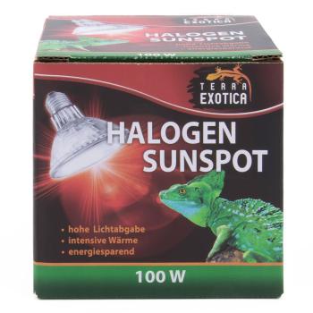 Terra Exotica Halogen Sunspot - Halogen Spotstrahler - 100 Watt